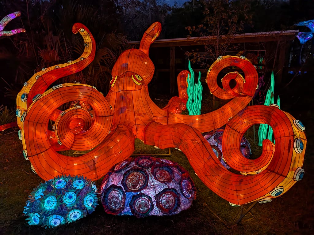 Octopus Lantern