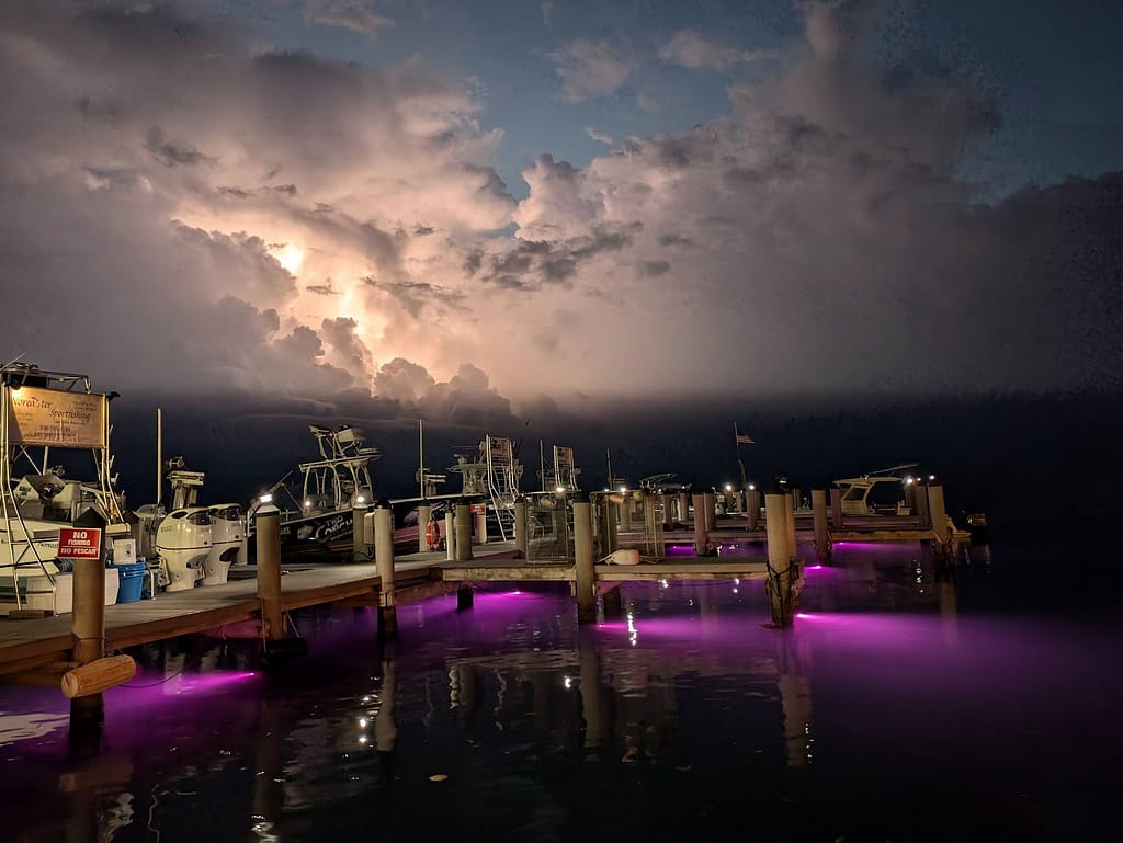 The Island Fish Company rotating multicolor lights under the docks.