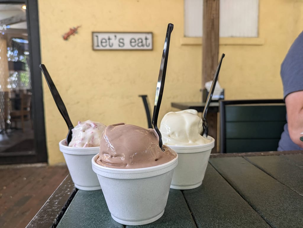 SweetBerries Bradenton, FL custard