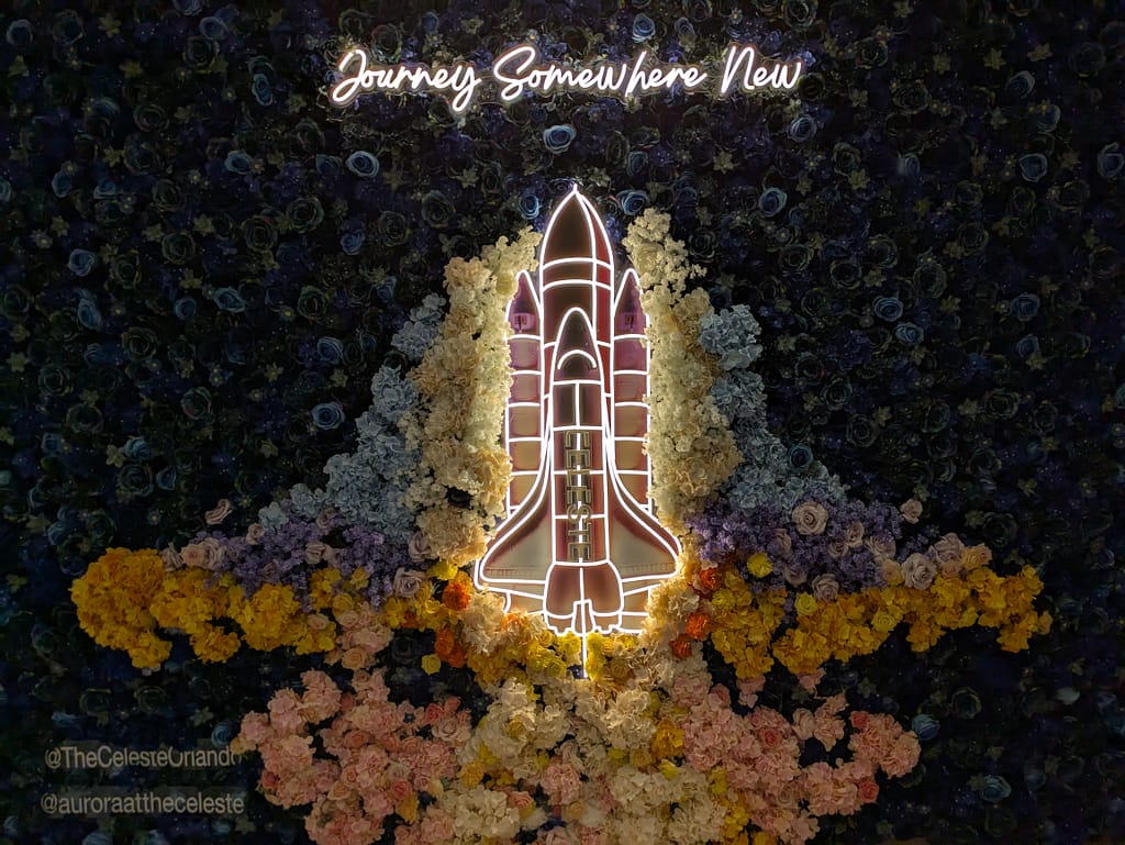 Space Shuttle Artwork at the Celeste Hotel