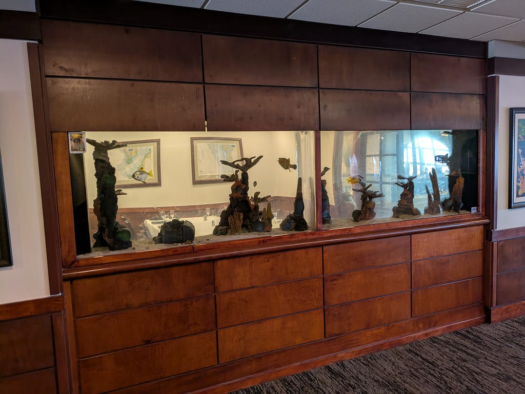 Pier 22 in Bradenton fish tank at the entrance.