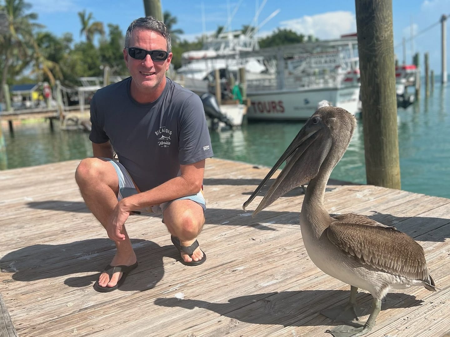 Pelican at Robbie's Marina