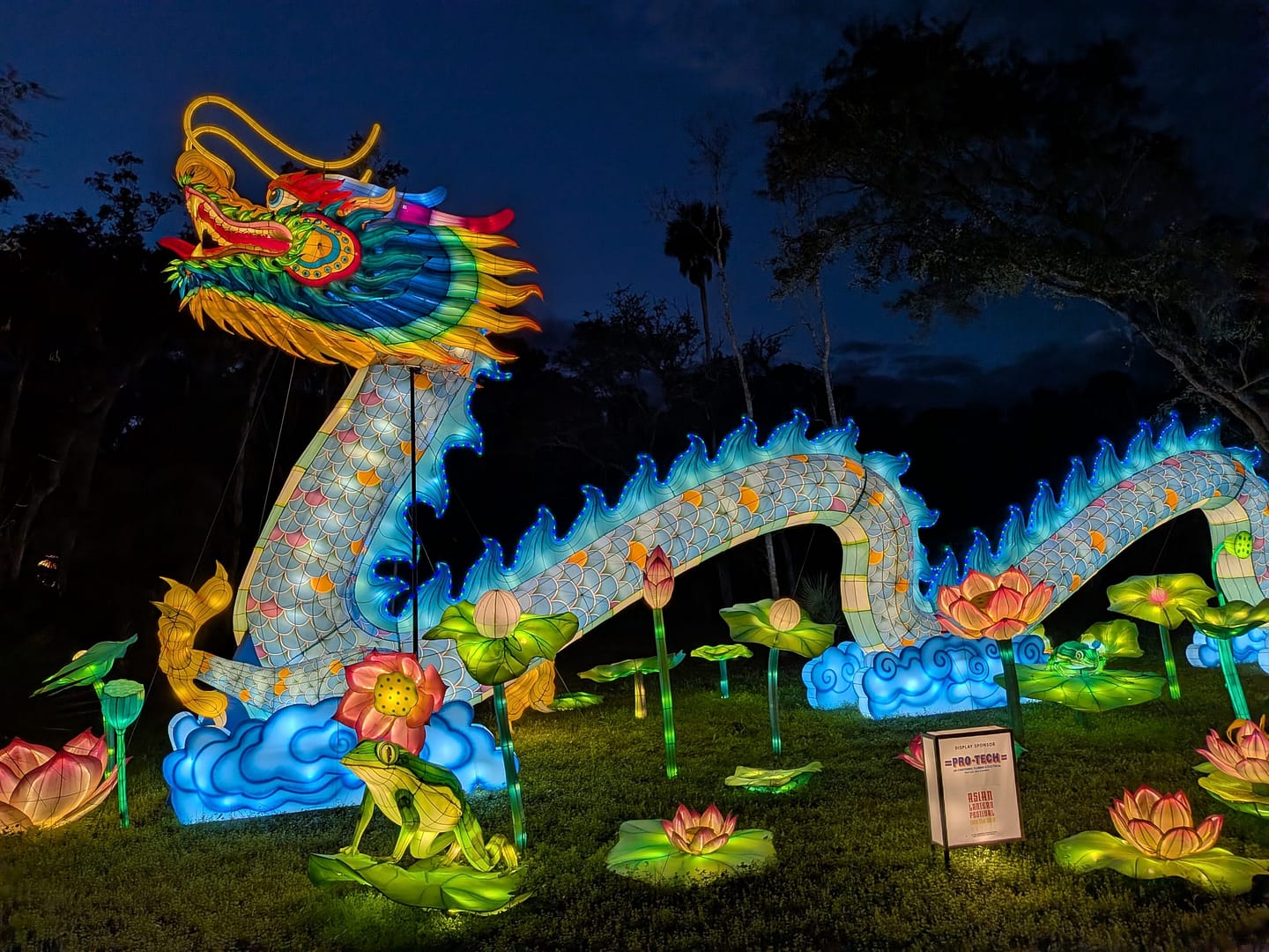 Asian Lantern Festival Dragon